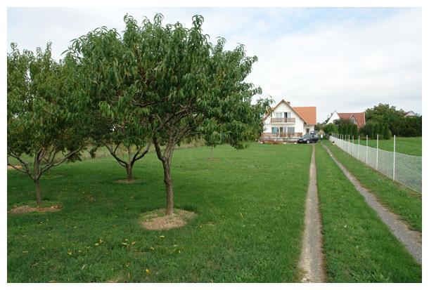 Csiri Vendeghaz Villa Cserszegtomaj Exterior photo